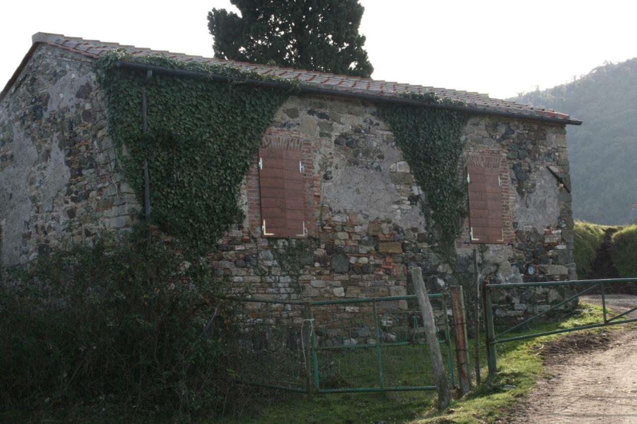 Farmhouse Tuscany Montecastelli Pisano Exterior foto
